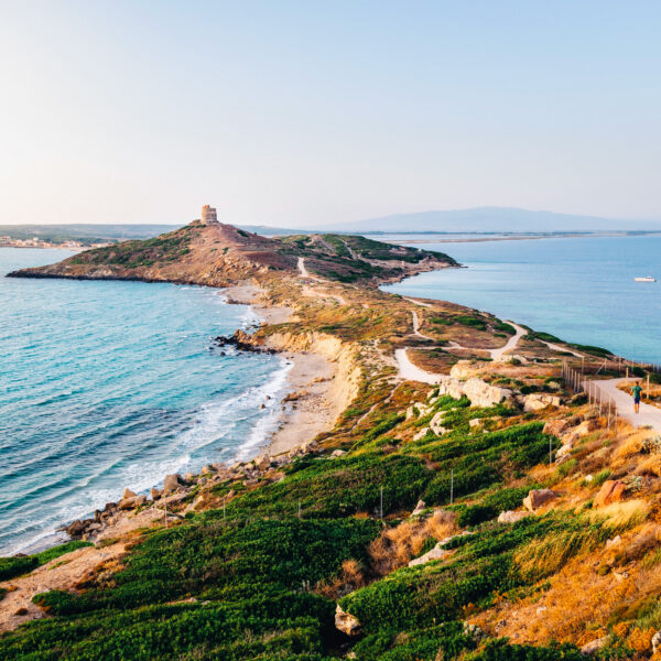 SARDINIA